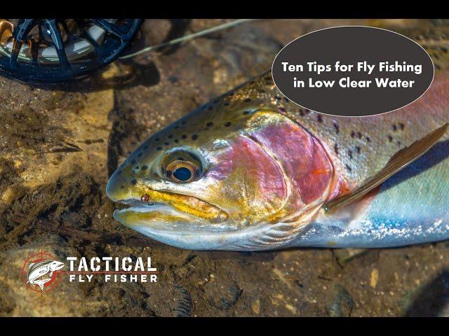 Ten Tips for Fly Fishing in Low Clear Water