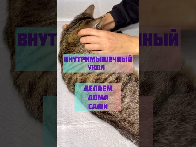 Внутримышечный укол  делаем дома сами