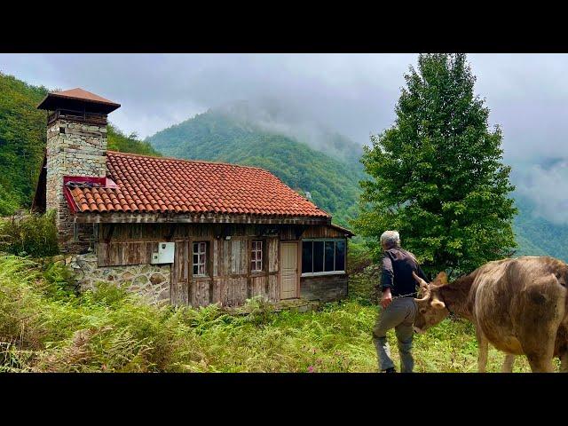 Life in an Isolated Cabin in the Northern Turkish Mountains During a Heavy Rainstorm