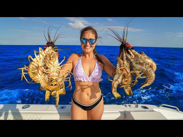 DIVING after HURRICANE! 1000s of LOBSTERS Migrating! Catch, Clean & Cook!