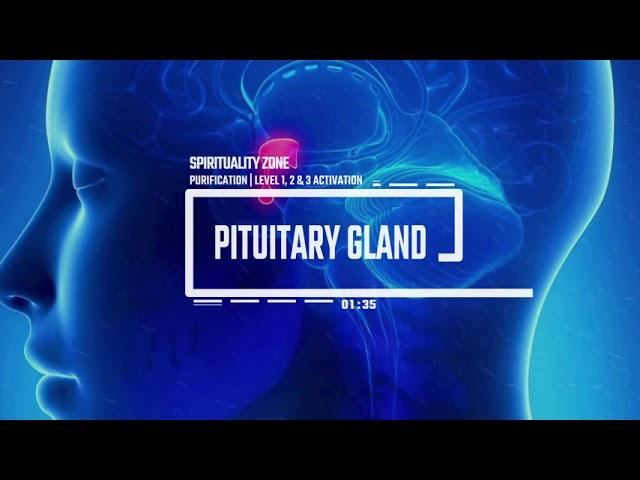 Pituitary Gland Purification + Level 1, 2 & 3 Activation