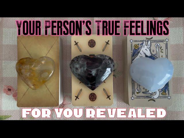 Your Person's True Feelings For You Now Timeless pick a card love reading