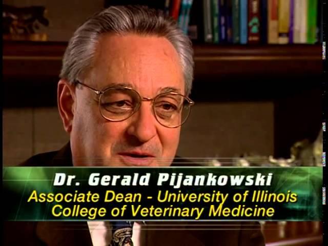 Veterinary Medicine: It's More Than You Think