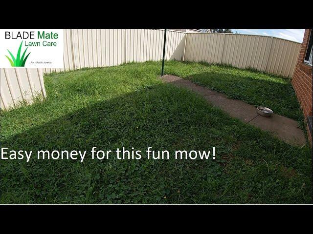 Lawn mowing fun in Australia! Here's why I prefer Rover to Honda!