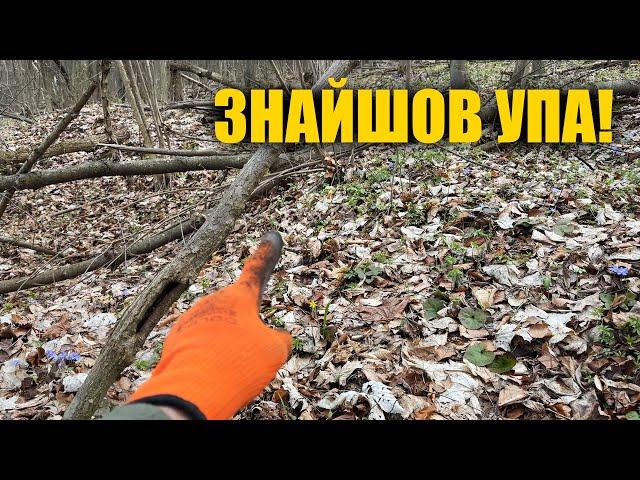 Пошук біля хутору де було УПА. Пошук з металошукачем в Україні