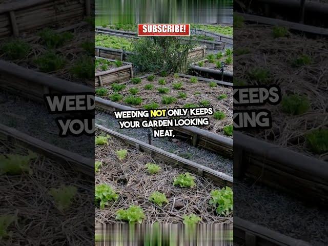Celebrate National Weed Your Garden Day! #viralvideo #trending #usa #history #facts #shorts