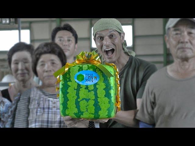 Square Watermelon Farming  ONLY in JAPAN
