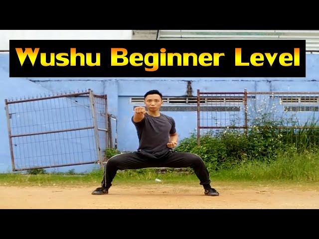 Best Movement Exercises for Wushu Beginners (Wushu Tutorial)