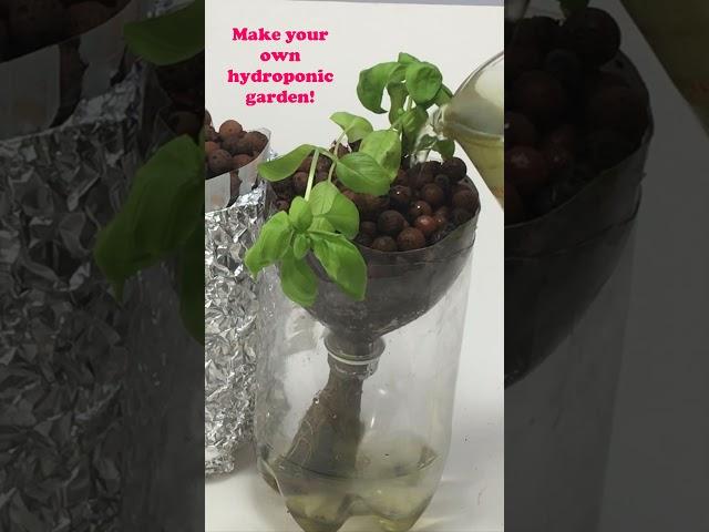 10 Awesome Plant Science Projects