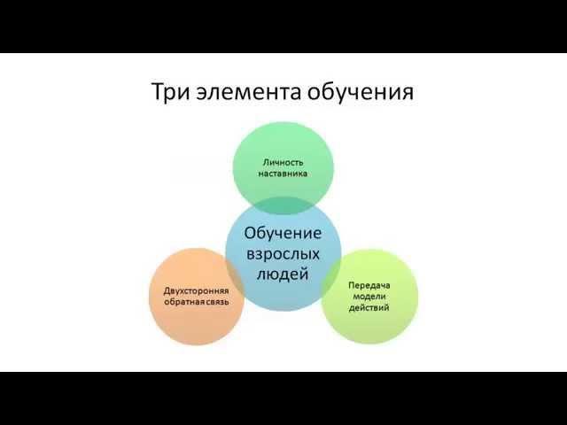 Обучение и развитие персонала. Руководитель как наставник. 1 урок.