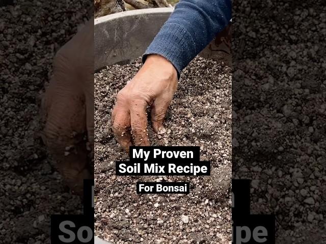 Proven Soil Mix for Bonsai #shorts #bonsai #gardening #howto