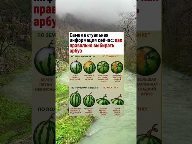 #здоровье #полезныесоветы #духовность #смыслжизни #мудрость