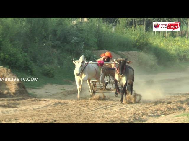 BEST OX RACE IN KHERI GUJJARAN  16 AUG 2018