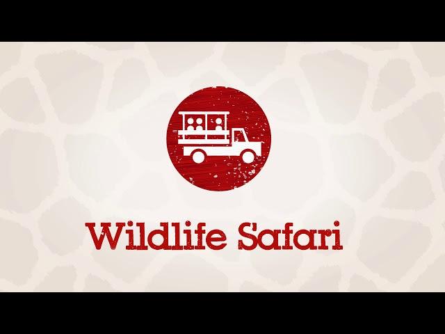 Wildlife Safari