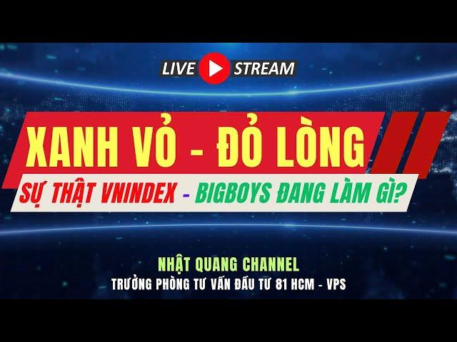 Đầu tư chứng khoán| Nhận định thị trường| Chứng khoán hôm nay| XANH VỎ ĐỎ LÒNG, BIGBOYS ĐANG LÀM GÌ?