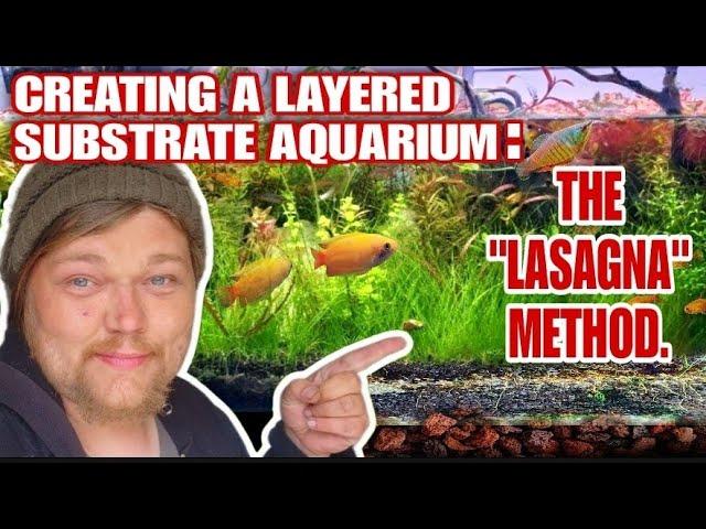 Creating A Tank That Will Last Forever! The Low Maintenance Planted Aquarium. THE LASAGNA METHOD!