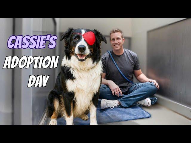 Here's what Happened to Cassie... | PUPDATE