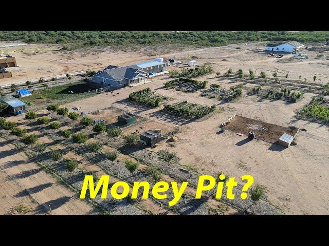 Will We Ever Make Money at This? | Small Farm Profits | Making Money on a Small Farm