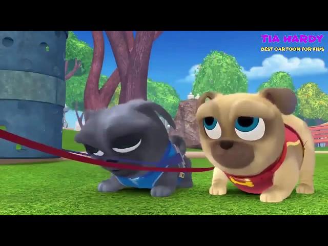 Puppy Dog Pals Episodes | Puppy Dog Pals Disney Junior