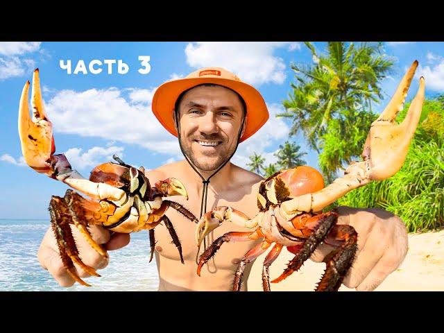 I stayed LIVING on a DESIGNED ISLAND. SURVIVAL - CRAB HUNTING [Part 3]