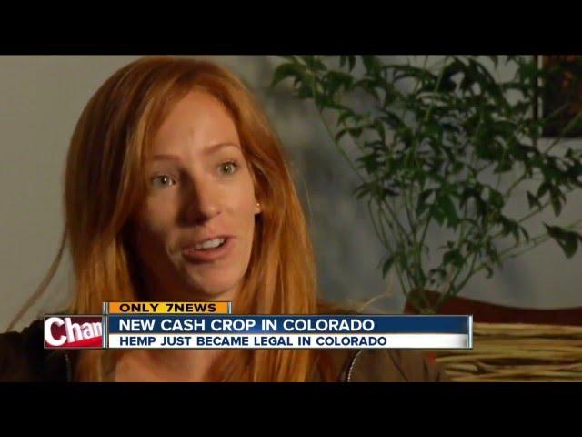 First Large-Scale Hemp Processing Plant In Colorado