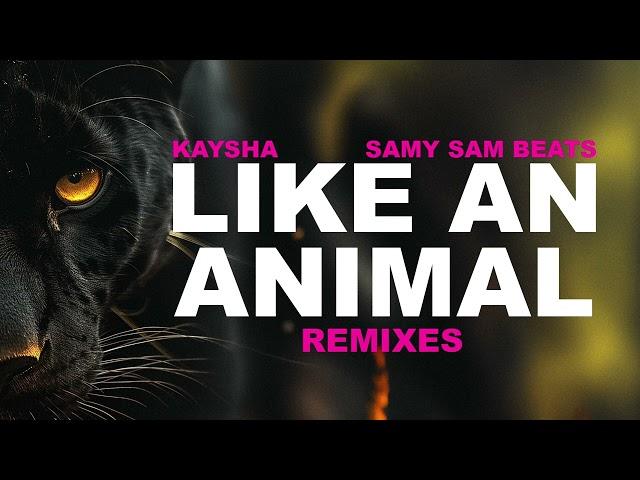 Kaysha x Samy Sam Beats - Like an animal - NCKOnDaBeat Remix