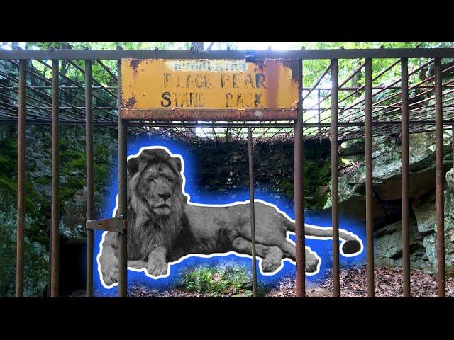 Exploring the Mystery of Hallie's Abandoned Zoo