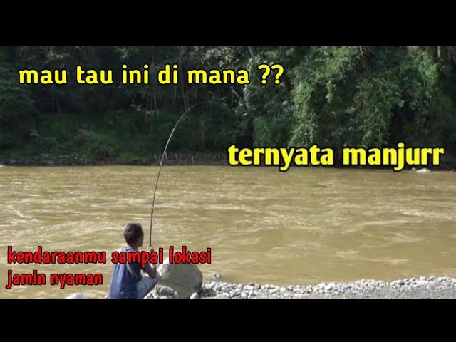 Surganya Mancing Ikan Besar, Spot Mancing Sungai Serayu Banjarnegara