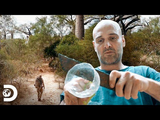 ¿Cómo sobrevivir ante climas hostiles? | Ed Stafford al Extremo | Discovery Latinoamérica