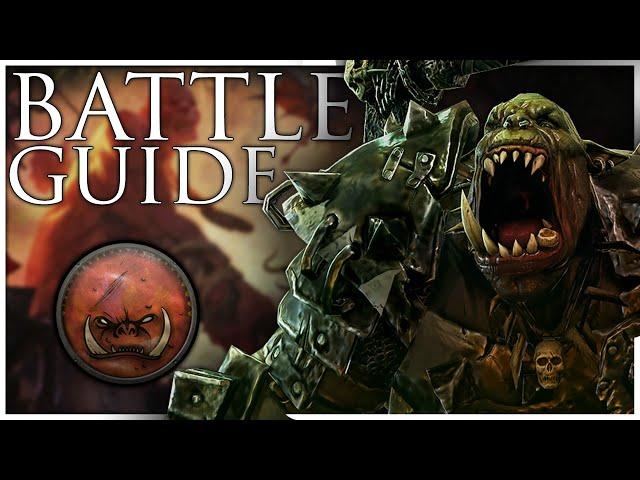 Greenskins Immortal Empires Battle Guide | Total War Warhammer 3