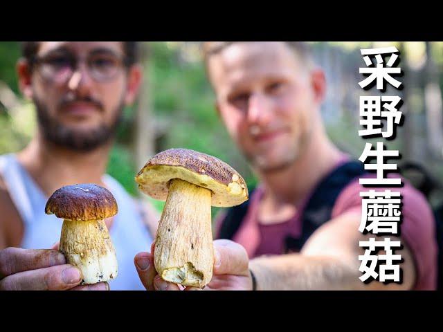 [ENG中文 SUB] PICKING WILD MUSHROOMS & making delicious fried PORK over OPEN FIRE!