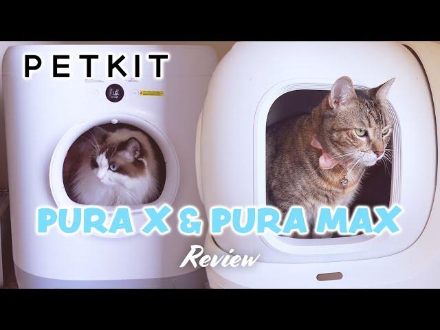  PETKIT Self Cleaning Litter Box: PURA X & PURA MAX Review!