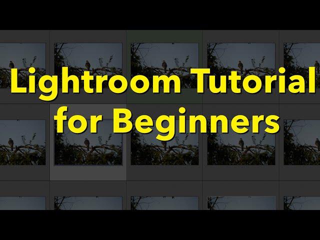 Lightroom (Classic) Tutorial for Beginners