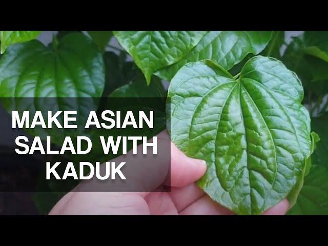 I GROW KADUK FOR THIS SALAD RECIPE | Leaf-wrapped Asian Salad Bites