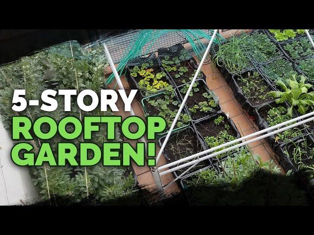 5 Story Rooftop Gardening in Spain (Full Tour)