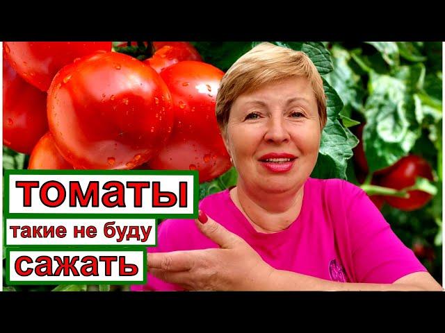 Какие ТОМАТЫ больше сажать не буду?