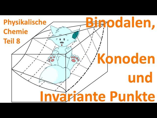 Wie lesen wir Phasendiagramme von 2-K-Systemen? "Binodalen, Konoden & invariante Punkte"