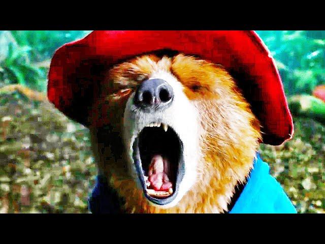 Spiky Red Plant Scene | PADDINGTON IN PERU (2024) Movie CLIP HD