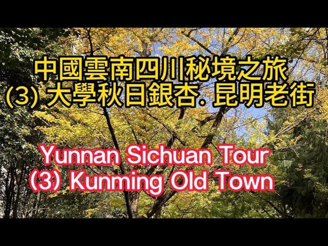 Yunnan Sichuan Unexplored Tour (3) Kunming Old Townr; 雲南四川秘境之旅 (3):大學秋日銀杏. 昆明老街