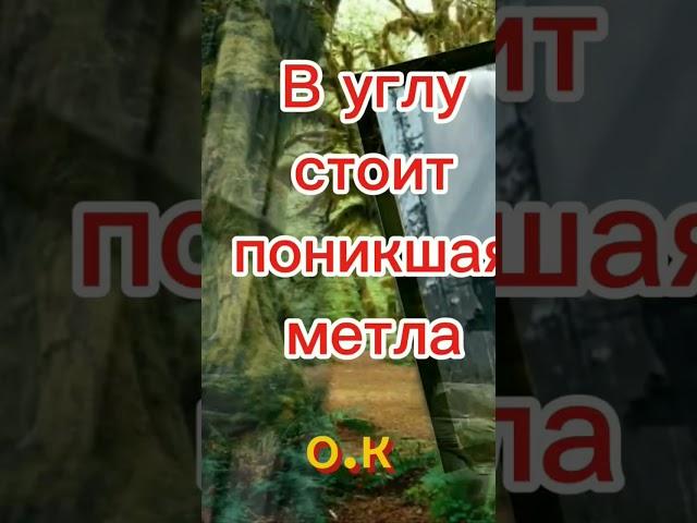  #shortsУ нас опять не летная погода 