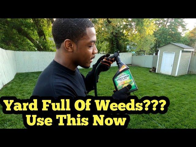 How To Quickly Eliminate A Yard Full Of Weeds With Hose End Sprayer| Pt2