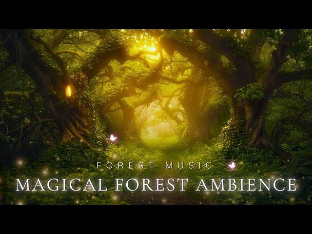 Let Magical Forest Music Guide You to Peace | Relax and Sleep Well in Mysterious Forest Space