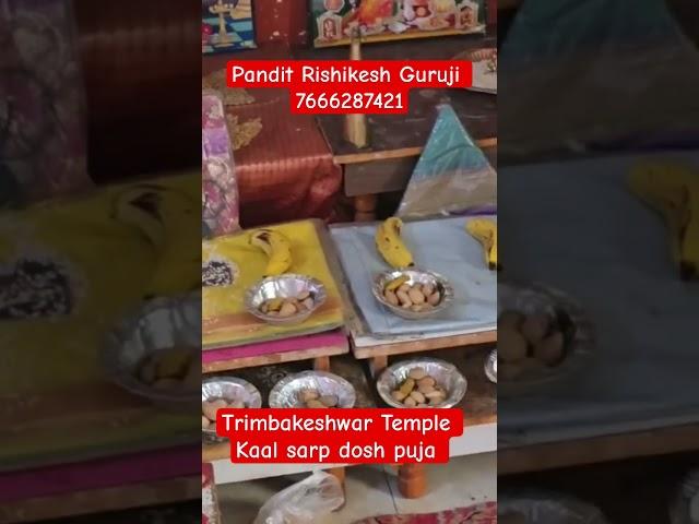 Trimbakeshwar Kaal Sarp Puja Trimbakeshwar Specialist