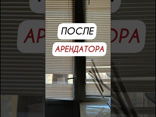 Квартира после арендатора #недвижимость #агентпонедвижимости #управлениеарендой