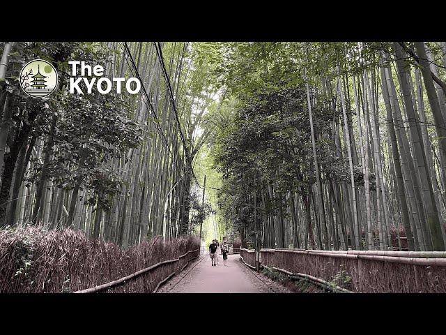 【4K】Walking through Arashiyama and Bamboo Grove Path to Togetsukyo Bridge in Kyoto, Japan