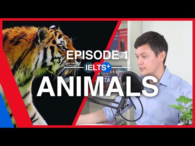 IELTS English Podcast - Speaking Topic: Animals