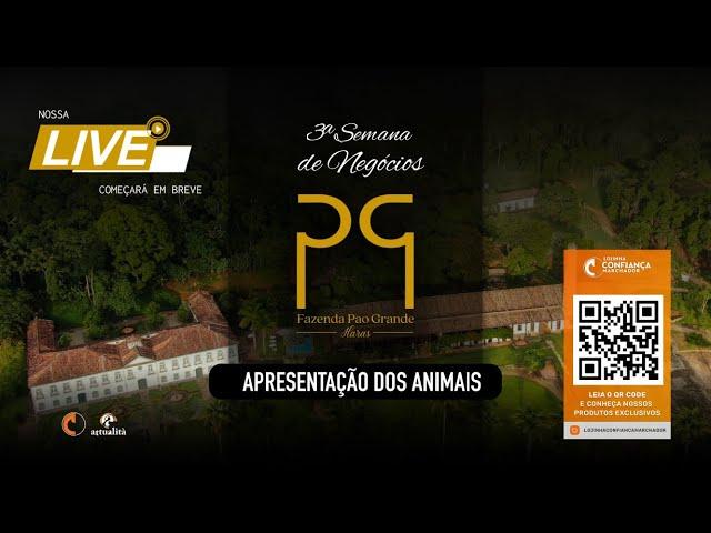 Live de Apresentação dos Animais 3ª Semana de Negócios Haras Pao Grande