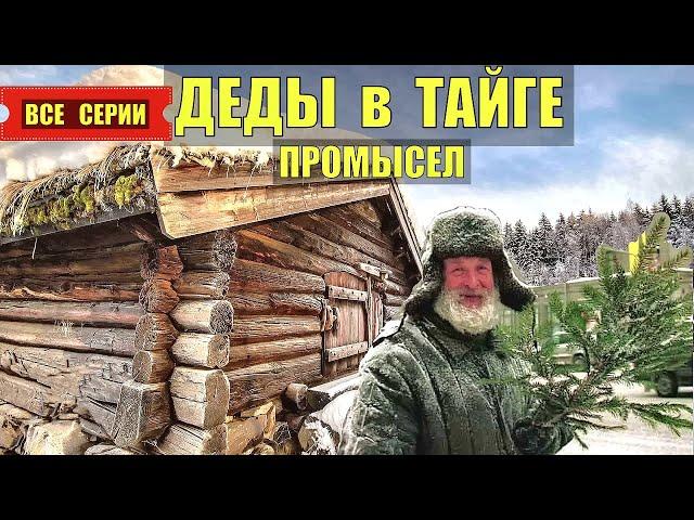 ДЕДЫ в ТАЙГЕ ВСЕ СЕРИИ СУДЬБА СЛУЧАЙ в ГОРАХ ЛЕС ПРОМЫСЕЛ ОХОТА ИСТОРИИ из ЖИЗНИ ОТШЕЛЬНИК СЕРИАЛ