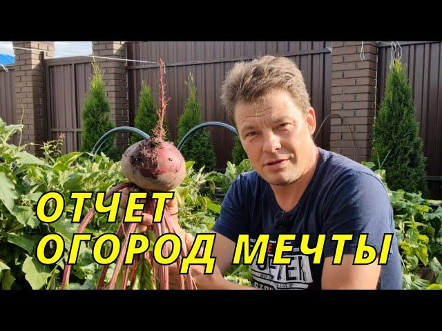 самый лучший огород на 1 сотке -  плюсы и минусы выделенного огорода с бетонными дорожками