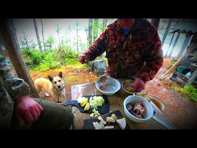 В ЛЕС НА 10 ДНЕЙ.ОХОТА И РЫБАЛКА.Гусь с картохой на костре.Котлеты из щуки с салом.Самоловки(3серия)